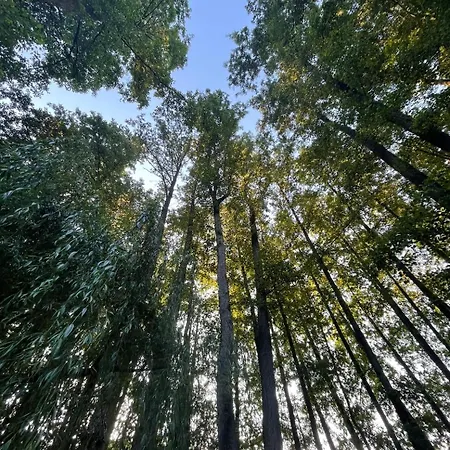 Schwarzwald-Auszeit Fuer 6 Mit Balkon & Kueche Triberg im Schwarzwald